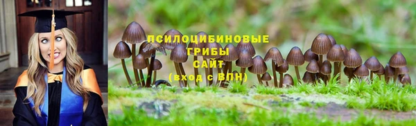 стафф Михайловка