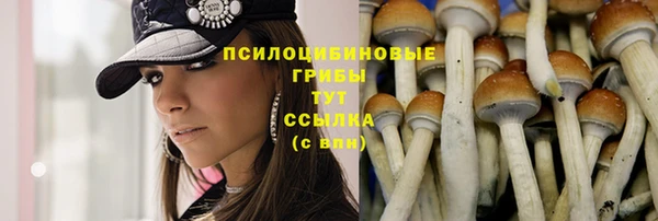 хмурый Михайлов