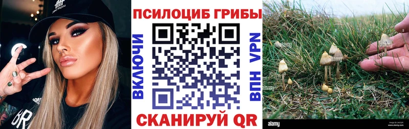 Галлюциногенные грибы мухоморы  блэк спрут   Любим 