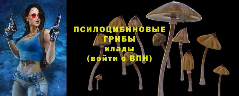 Галлюциногенные грибы MAGIC MUSHROOMS  Любим 